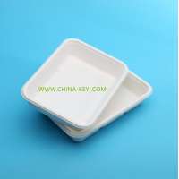 eco friendly rectangle food tray bagasse pulp