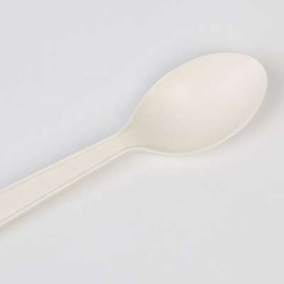 4 Inch Eco Little Cornstarch Spoon For Dessert