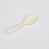 Fully Compostable Disposable Biodegradable spoon Corn starch For Food