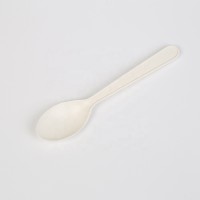 4 Inch Mini Type Biodegradable Cornstarch Spoon