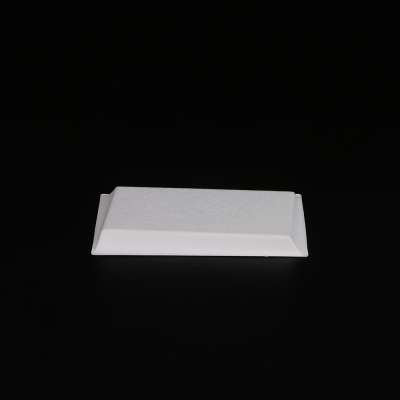 Disposable custom sugarcane pulp bagasse party plates rectangular paper bread plate raw material