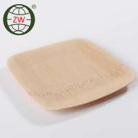 high quality environmentally friendly eco friendly disposable plates