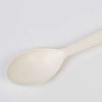 4 Inch Compostable Biodegradable Constarch Eco Spoon